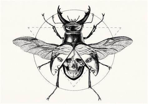 Art Prints — Peter Carrington Illustration Beetle Tattoo Insect