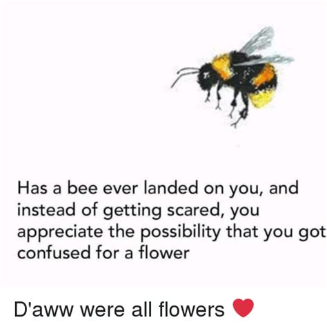 Has A Bee Ever Landed On You And Instead Of Getting Scared You