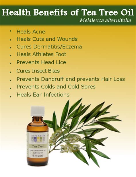 Health Benefits Of Tea Tree Oil Collections