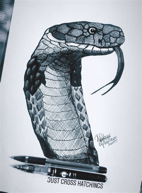 Details 76 Snake Pencil Sketch Latest Ineteachers