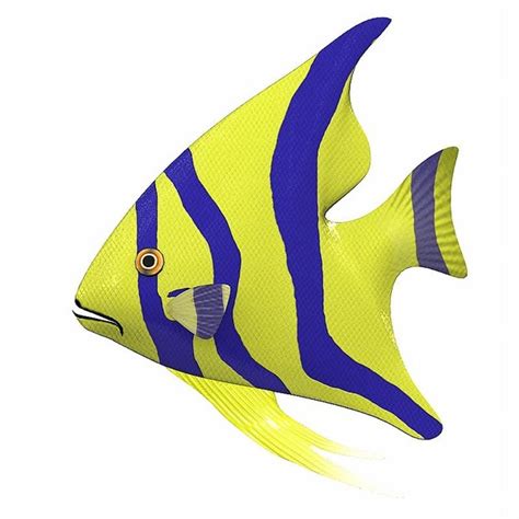 Animated Fish Image Clipart Best