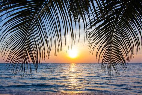 Tropical Beach Sunset Images