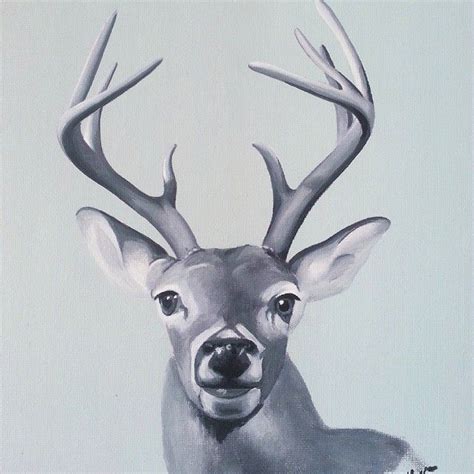 Black And White Deer By Linda Otton