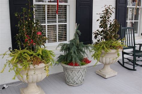 Great Winter Container Garden Ideas On This Blog Bwisegardening
