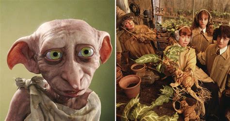 Nonton film the namesake (2006) subtitle indonesia streaming movie download gratis online. Harry Potter: The Most Underrated Character From Every Movie