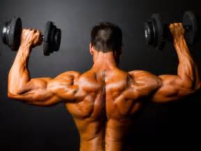 Life Fitness Arm Workouts For Men