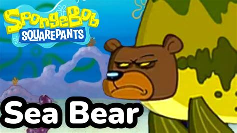 Spongebob Sea Bear Youtube