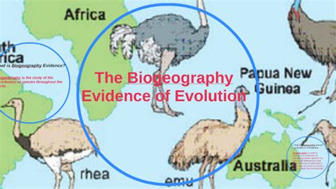 The Biogeography Evidence Of Evolution By Caria Wren