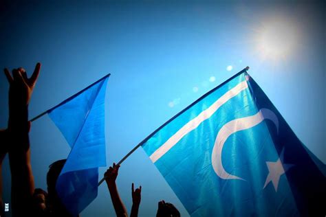 doğu türkistan bayrağı uludağ sözlük