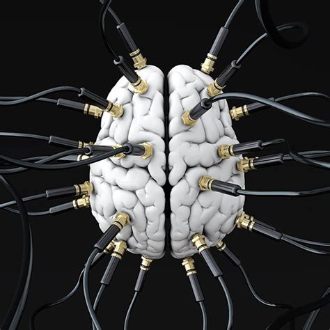 how your brain is wired reveals the real you scientific american