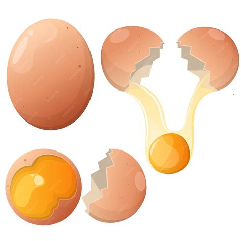 Premium Vector Fresh Egg Vector Cartoon Illustration Broken Eggs