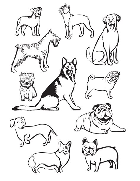 Coloring Pages Dog Breeds