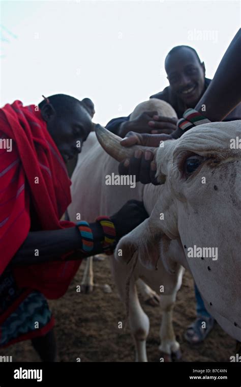 La Circuncisión Ritual De Samburu Fotografía De Stock Alamy