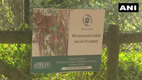 Adopt An Animal Scheme Of Nandankanan Zoo Gets Good Response Ani Bw