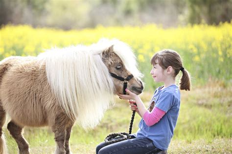 Horse Games And Activities For Play Days
