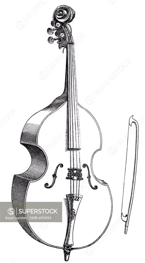 Historical Drawing Musical Instrument String Instrument Double Bass