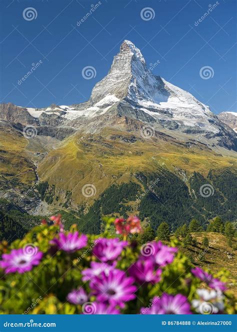 Peak Of Mountain Matterhorn In The Swiss Alps Stock Photo Image Of