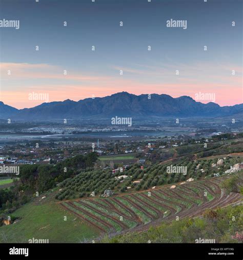 Paarl Valley Vineyard Hi Res Stock Photography And Images Alamy