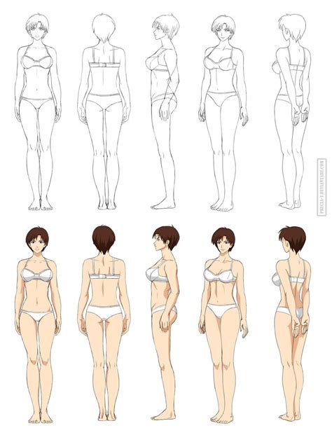 Anime Female Body Reference Sheet I Think I Might Use This For All My