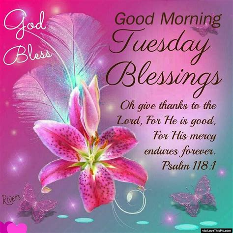 Also, the beginning of the day begins with the sun beams coasting through your face i.e. tuesday blessings | God Bless Good Morning Tuesday ...