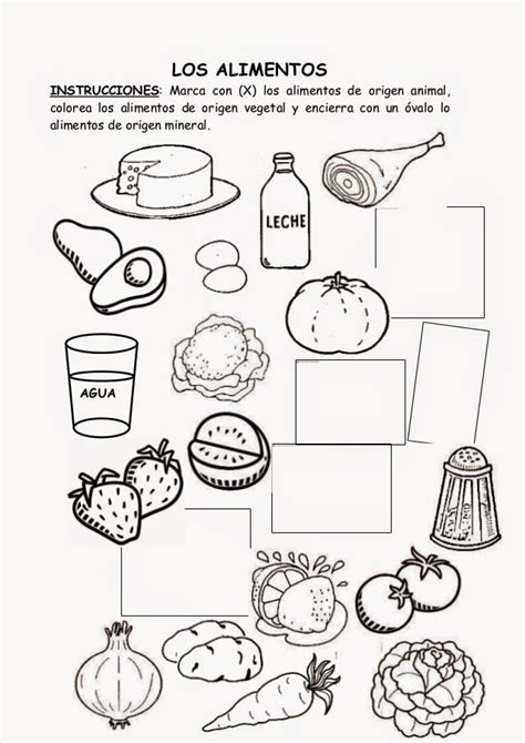 Imágenes De Alimentos De Origen Animal Para Colorear Imagui