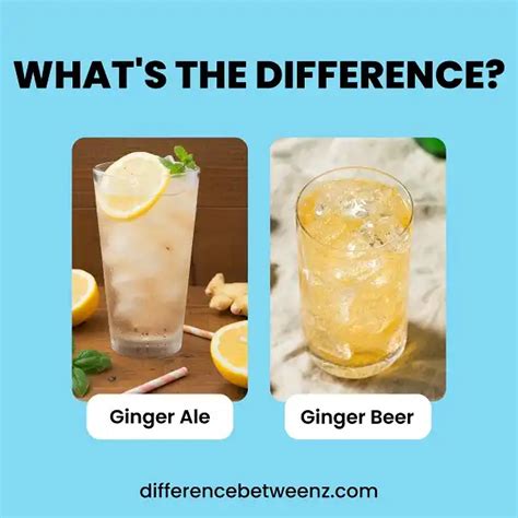 difference between ginger ale and ginger beer difference betweenz