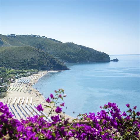 Speziale — speziale, jacopo, geb. Sperlonga - Speziale