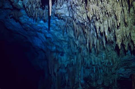 Premium Photo Underwater Cave Stalactites Landscape Cave Diving