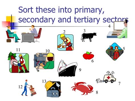 Net Japa Primary Secondary Or Tertiary Sector