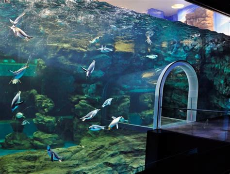 Japans Top 10 Aquariums All About Japan