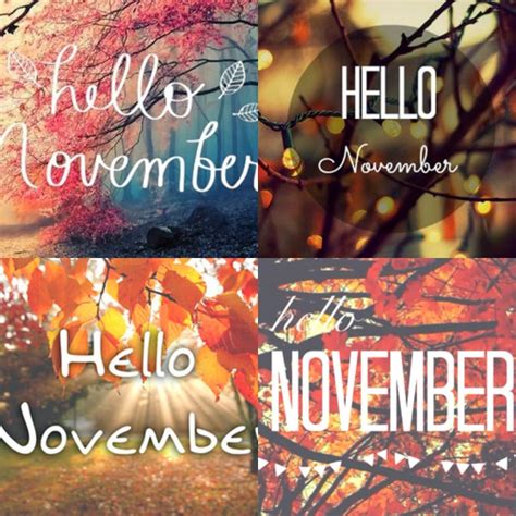 Hello November Pictures Photos And Images For Facebook Tumblr