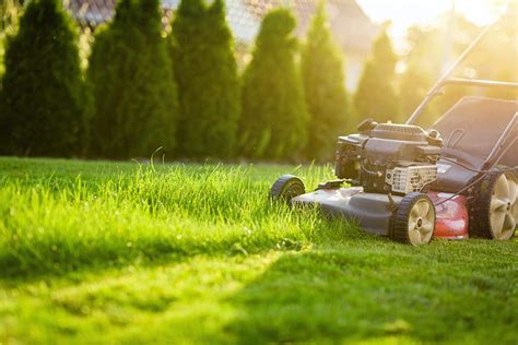 The Importance Of Properly Mowing Your Grass This Spring