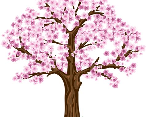 Transparent Cherry Blossom Tree Clip Art Png Download Full Size