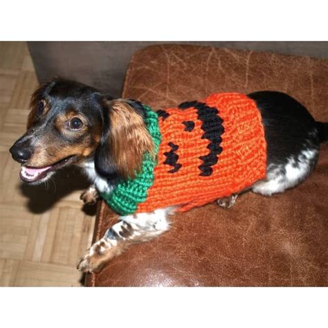 Jack O Lantern Dog Sweater Pattern Knit Lion Brand