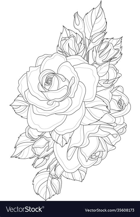 Rose Bouquet Sketch