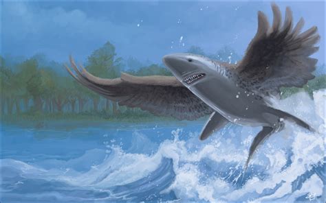 Flying Shark By Altrian On Newgrounds