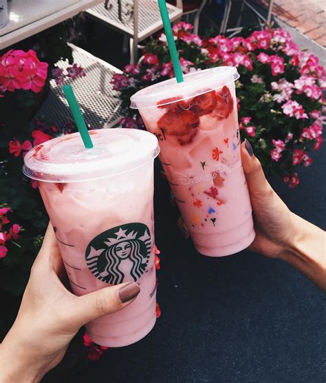 Pink Drink Starbucks Senturinuni
