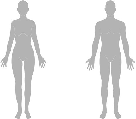 Download Chin Human Body Silhouette Png Png Image With No Background