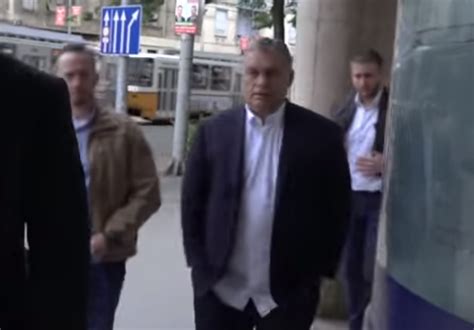 Mindannyiunk felelőssége a teremtett világ megőrzése. Zsúrpubi - Orbán ismét elmenekült, amikor a Strache ...