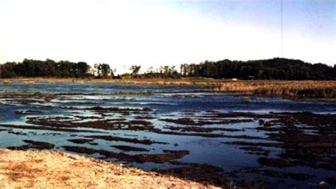 Pseandg Estuary Enhancement Program Environmental Permitting And