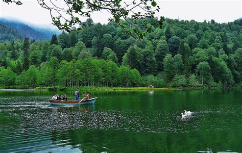 It is located on a hill overlooking the çoruh river near the deriner dam. Artvin- Borçka 2 | Seyahat