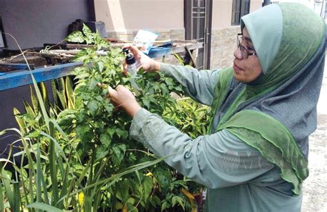 Lalu aku menutup mata berharap ia tidak akan ada lagi di sana. Aktiviti keluarga sejak kecil | Harian Metro