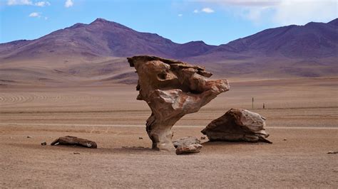 The Stone Tree Or Arbol De Piedra Bolivia Our Big Fat Travel Adventure