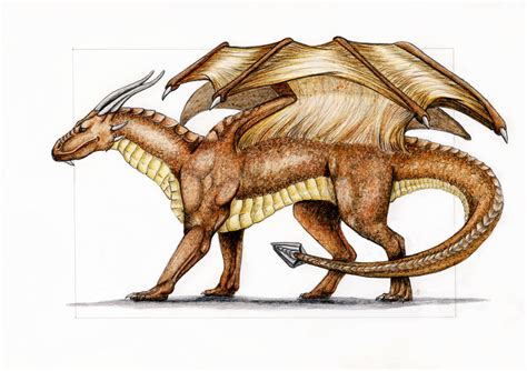 Draconniss The Brown Dragon By Margotshareaza On Deviantart