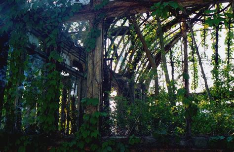 Old Greenhouse Abandoned Places Abandoned Victorian Greenhouses