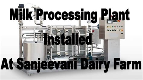 Milk Processing Plant Installed At Dairy Farm Pasteurised Packed In