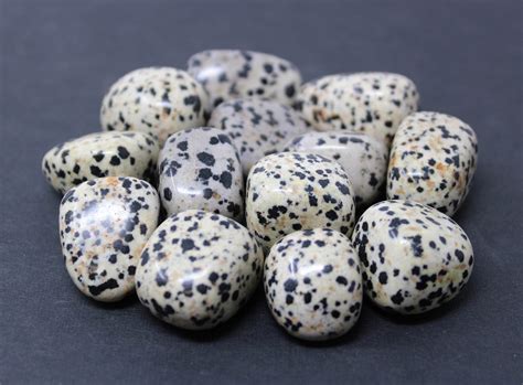 Dalmatian Jasper Tumbled Stones Choose 4 Oz 8 Oz Or 1 Lb Etsy