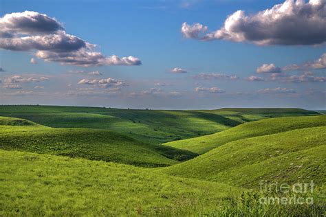 Green Pastures Photograph By Jill Van Doren Rolo Pixels