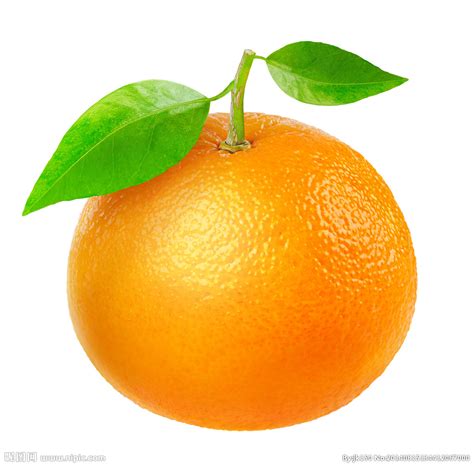 橙子摄影图水果生物世界摄影图库昵图网