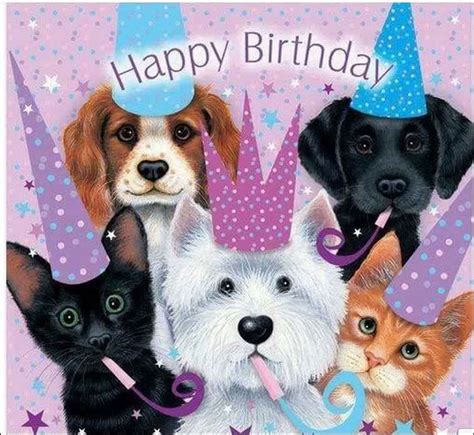 Happy Birthday Sister🎈 Happy Birthday Cat Dog Birthday Wishes Happy